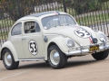 Herbie -1