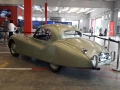 paddock-8