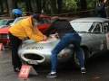 DINO5310