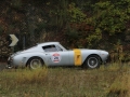 DINO5896