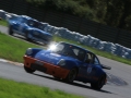 DINO6929