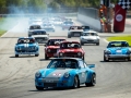 MCO2020_02233