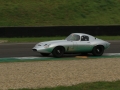 DINO8261