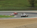 DINO8389