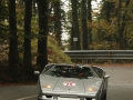 DINO8654