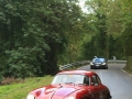 DINO8844