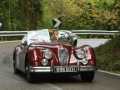 DINO8858