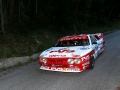 Rally Alpi Orientali 2015 -8