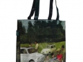 Shopper 500 -4