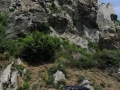 28 ma edizione stella alpina