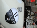 DINO2167