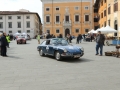 DINO3639