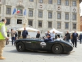 DINO3681