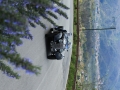 DINO3776