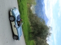 DINO3808