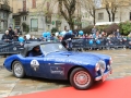DINO2655
