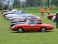 DINO2920