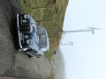 DINO3079