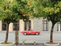 DINO3289