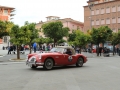 DINO3305