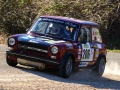Vallate Aretine A112 2017 -7
