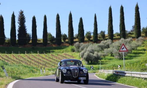 Proseguono i preparativi per il Circuito Stradale del Mugello 2025: in pista anche la formazione!